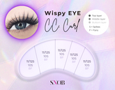 4 Beautiful Lash Maps - Elevate Your Artistry with Lash Styling (Digital Downloadable)