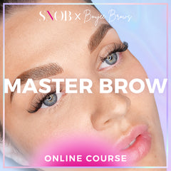 ALL-IN-ONE MASTER LASH + BROW COURSE - ONLINE