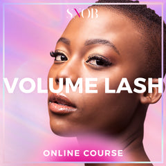 We offer an online volume lash course for master lash artists