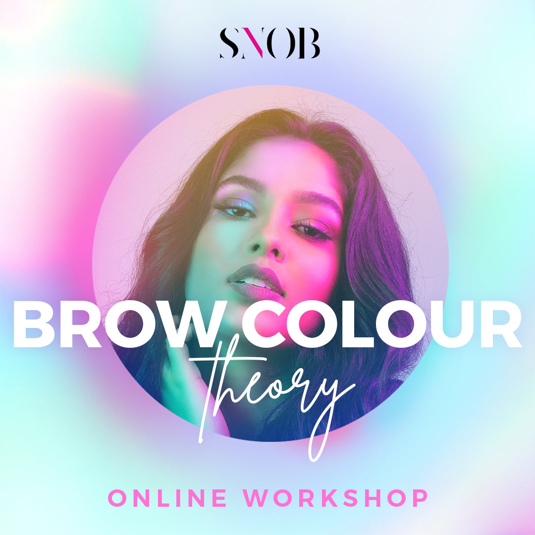 Our brow colour theory workshop help your choose the right colour for your clients